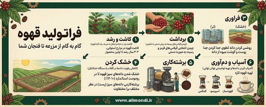 فرآیند تولید قهوه